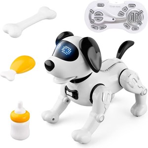 اسباب بازی ربات سگ کنترلی مدل JJRC R19 Remote Control Robot Dog Toy _اسباب بازی ربات